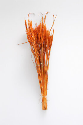 3 Demet Yerli Kuru Başak (3 Farklı Renk) 60 cm - 3
