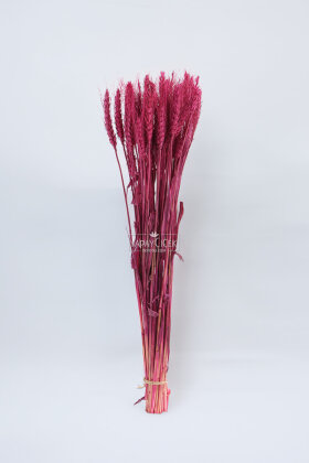 3 Demet Yerli Kuru Başak (3 Farklı Renk) 60 cm - 4