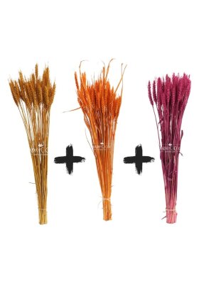 3 Demet Yerli Kuru Başak (3 Farklı Renk) 60 cm - 5