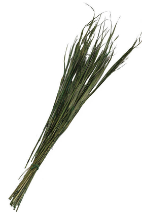 Kuru Saz Kamış Demeti Yeşil 100cm - 1
