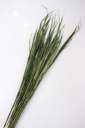 Kuru Saz Kamış Demeti Yeşil 100cm - 2