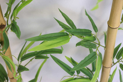 Doğal Bambu Yapay Egzotik Yapraklı 110 cm - 3