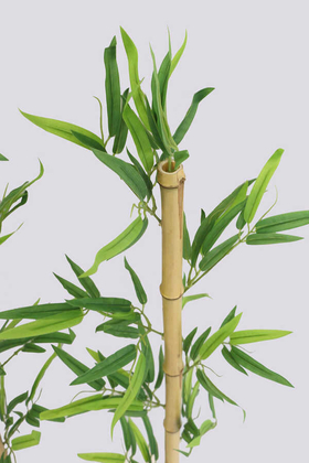 Doğal Bambu Yapay Egzotik Yapraklı 110 cm - 4