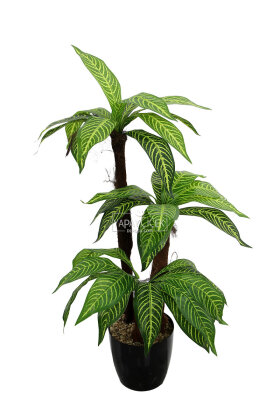 Bodur Yapay Ağaç Cordyline 105 cm Model 3 - 3